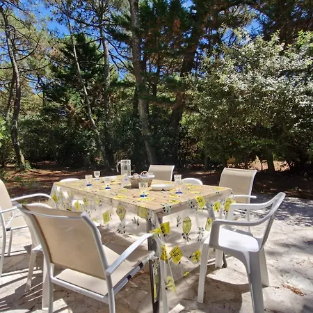 La Palmyre - Maison Individuelle - Parc De La - Wifi Villa *