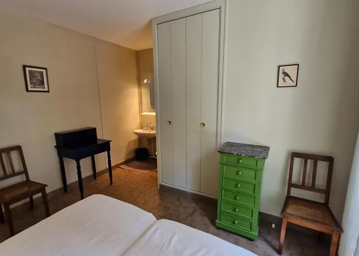 Villa La Palmyre - Maison Individuelle - Parc De La - Wifi