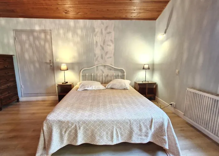 Villa La Palmyre - Maison Individuelle - Parc De La - Wifi *