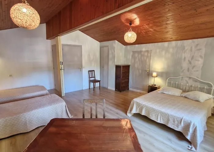 La Palmyre - Maison Individuelle - Parc De La - Wifi Villa *